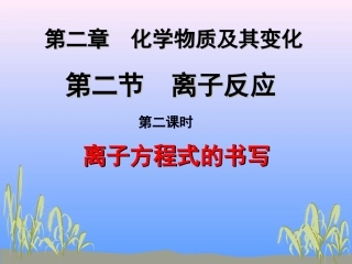 离子反应方程式
