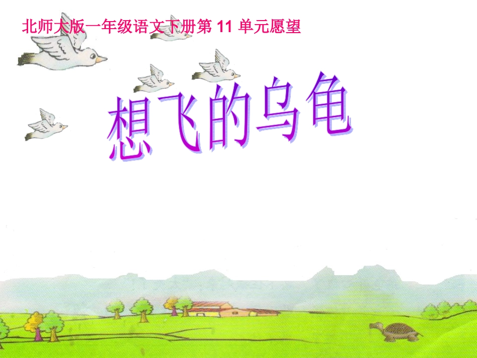 想飞的乌龟 (2)_第1页