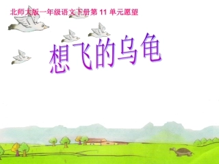 想飞的乌龟 (2)