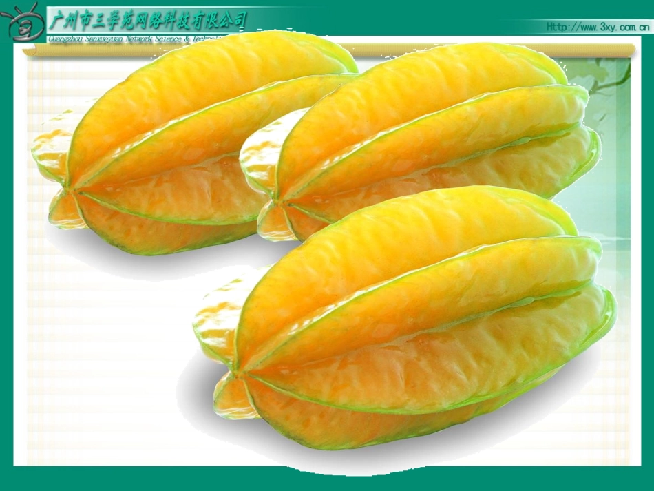 人教版三年级下册11画杨桃 (3)_第3页