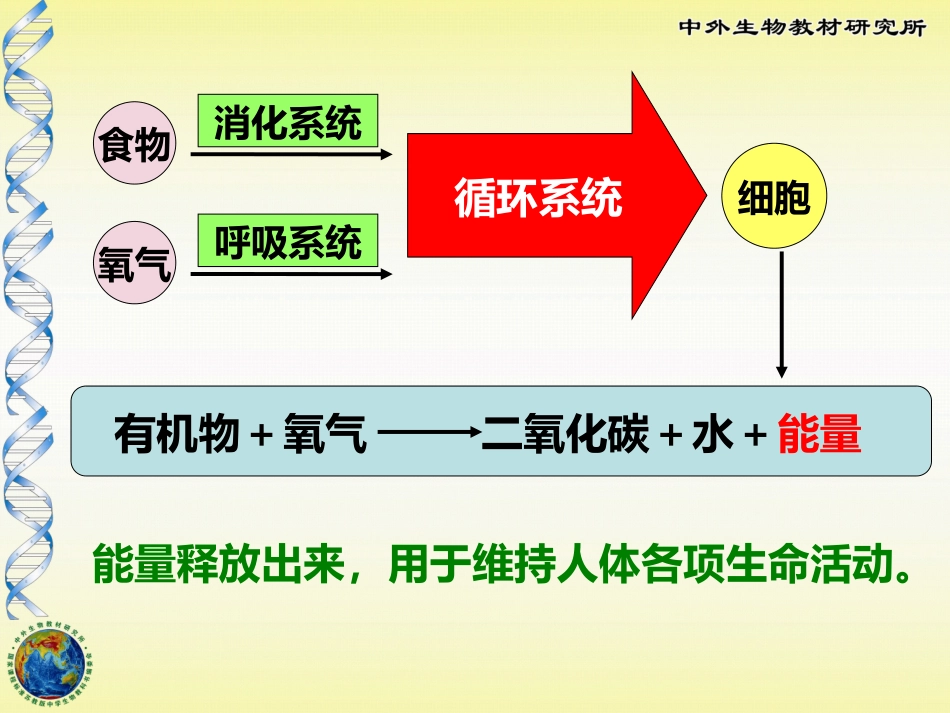 人体能量的供给_第3页