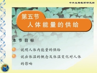 人体能量的供给