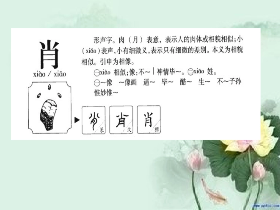 鱼儿捎来的信_第2页