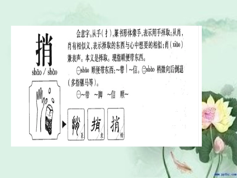 鱼儿捎来的信_第3页