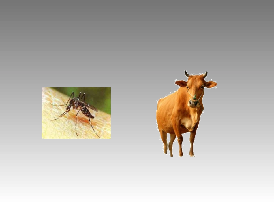 声音的特性xx_第3页