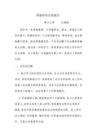 师德师风报告