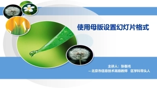 1使用母版设置幻灯片格式 (2)