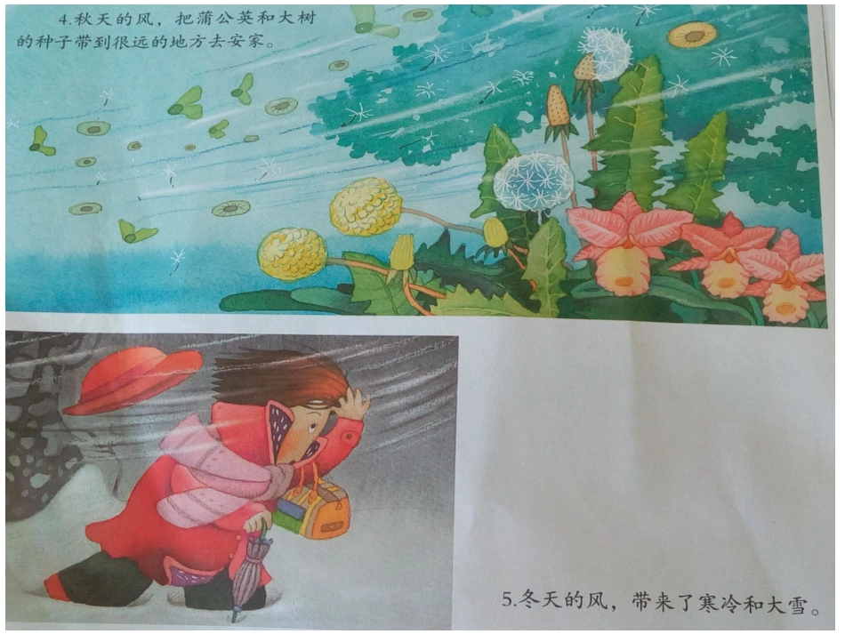 语言2：风儿，来来去去_第3页