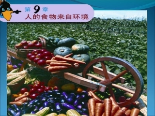 9--1人体需要的主要营养物质1