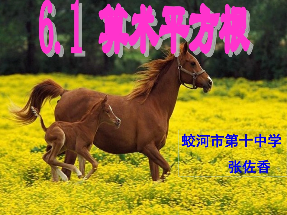 蛟河市第十中学张佐香算术平方根_第1页