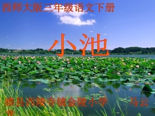 《小池》课件
