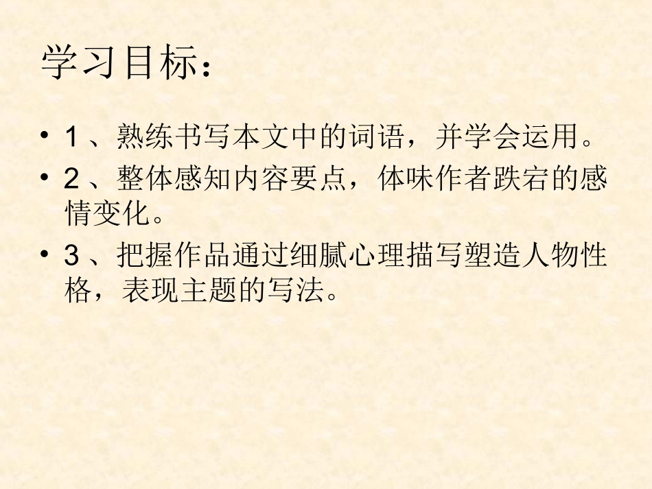 在沙漠中心上课用_第2页