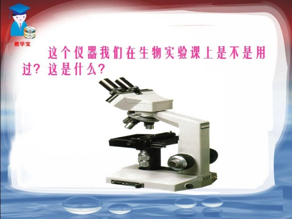 透过眼睛看世界_第2页