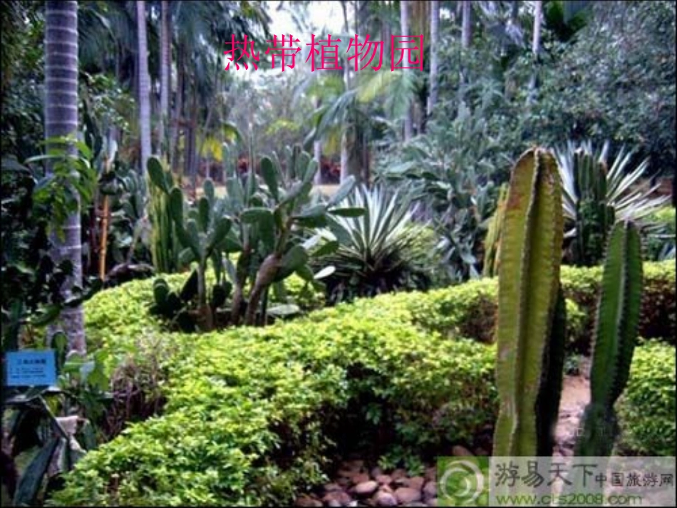 南海上的明珠_第3页