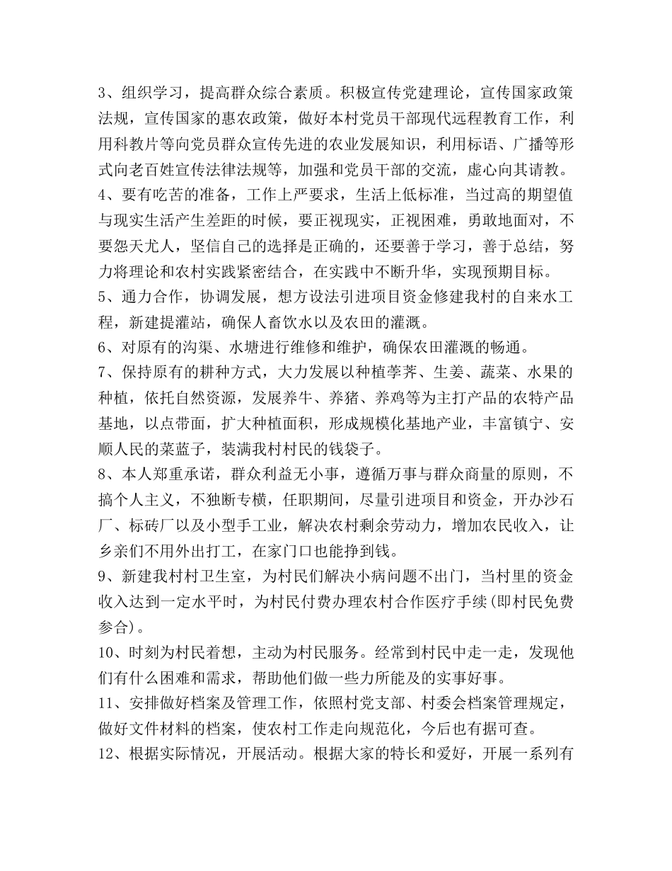 关于村长发言 _第2页