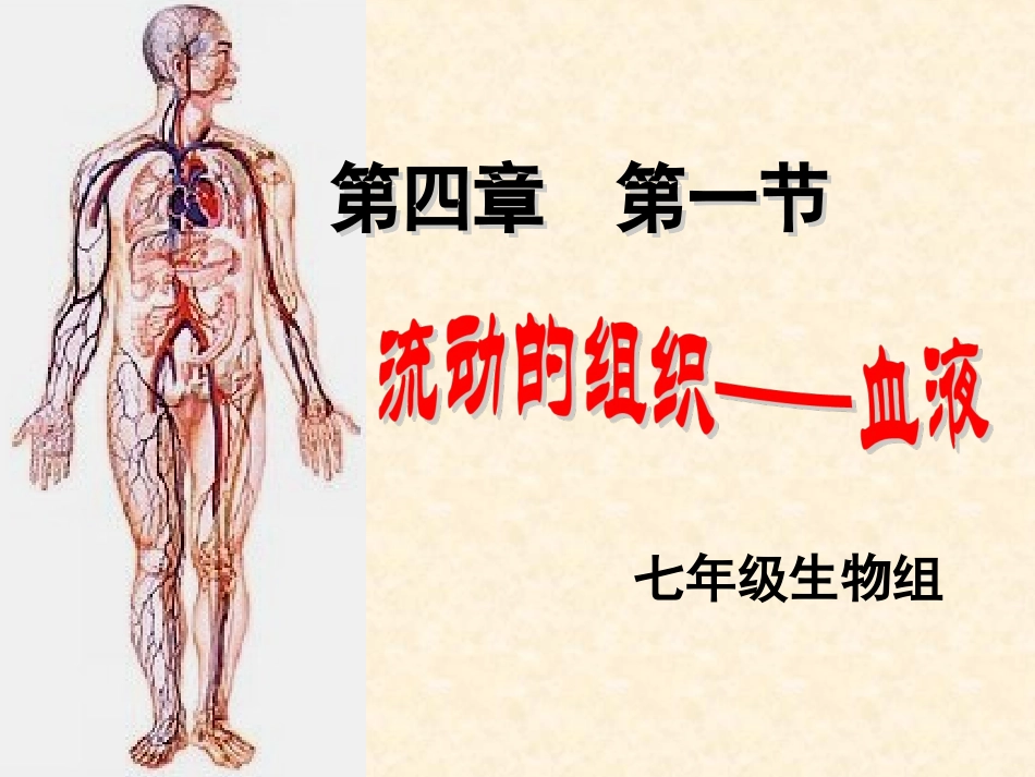 41流动的组织---血液_第3页