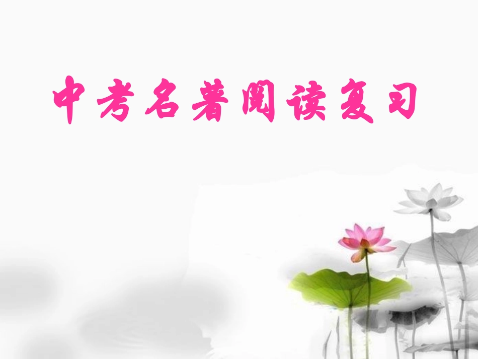 中考名著阅读2_第1页