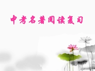 中考名著阅读2
