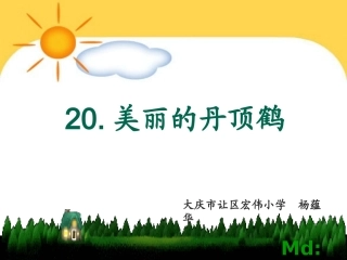 美丽的丹顶鹤课件（杨蕴华）
