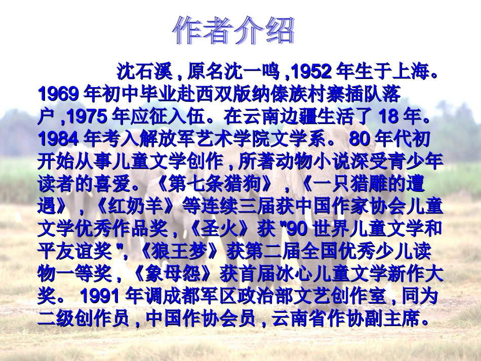 最后一头战象课件_第3页