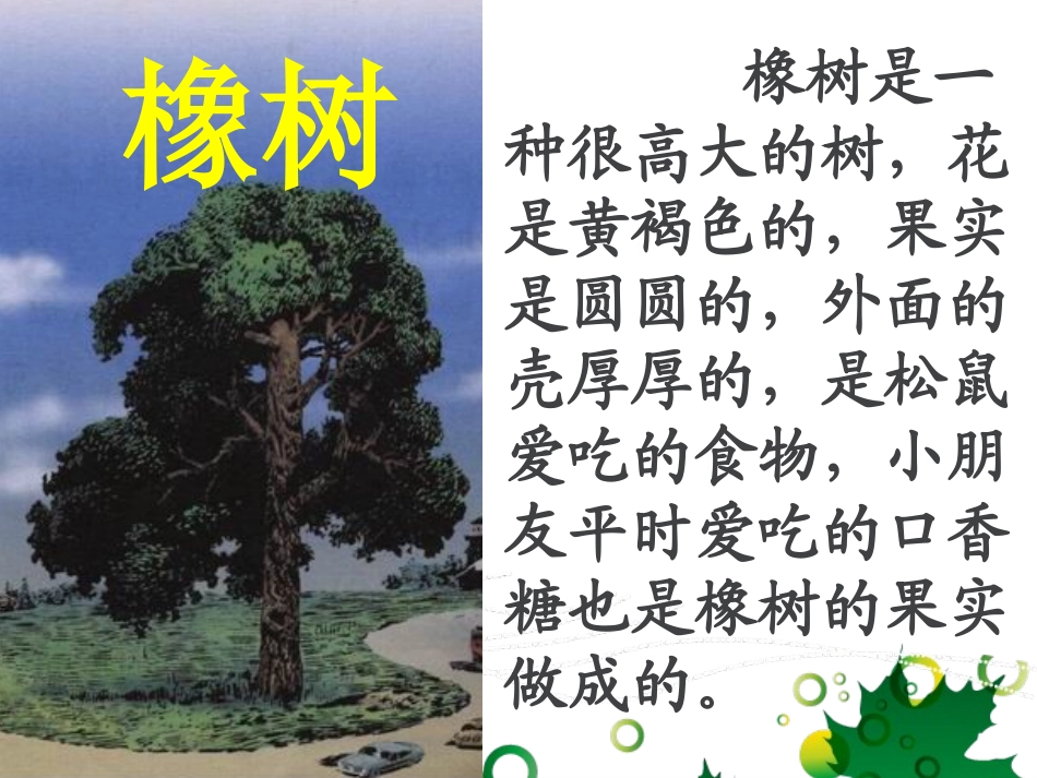 8路旁的橡树 (3)_第2页