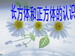 长方体和正方体的认识 (5)