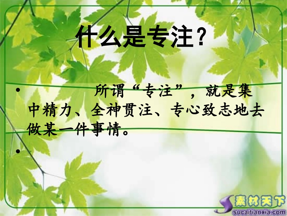 让专注成为习惯_第2页