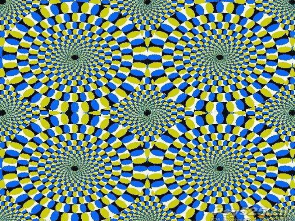 让专注成为习惯_第3页