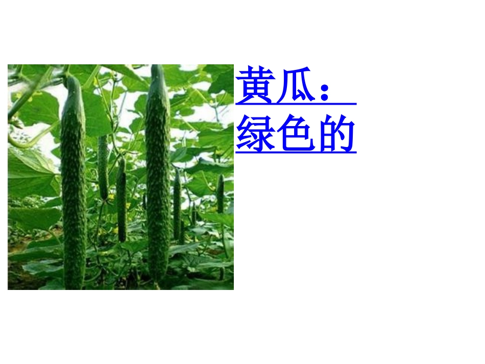 小班好吃的蔬菜_第2页