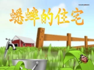 蟋蟀的住宅2
