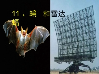蝙蝠和雷达第二课时