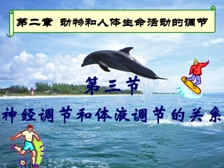 第二章第3节神经调节与体液调节的关系
