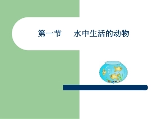 水中生活的动物