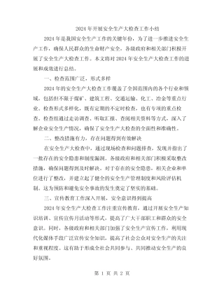 2024年开展安全生产大检查工作小结