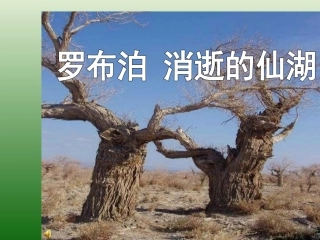 语文：3.12《罗布泊，消逝的仙湖》课件（2）（新人教版八年级下册）