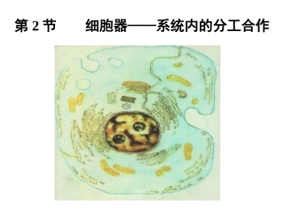32细胞器——系统内的分工合作