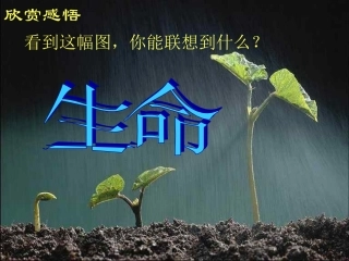 谈生命课件2