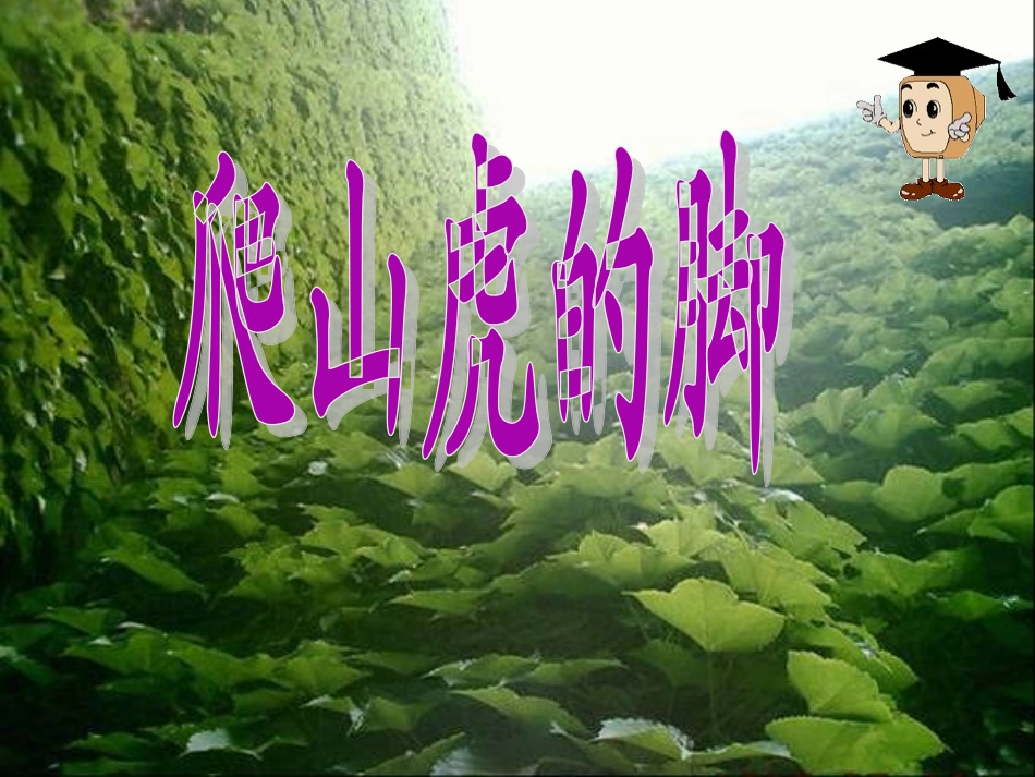 爬山虎的脚 (7)_第2页