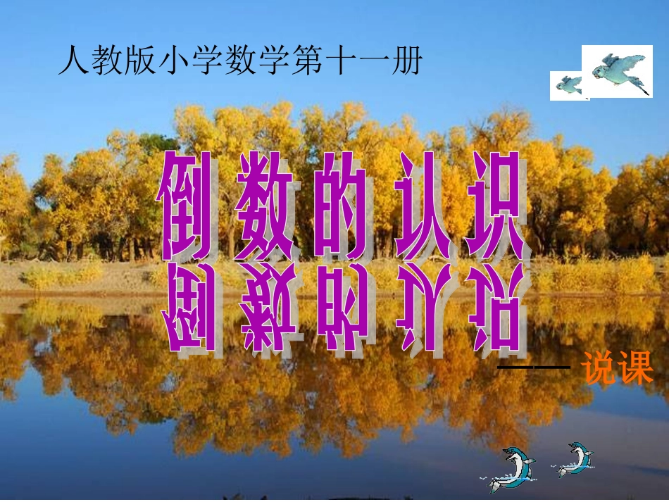 倒数的认识课件_第1页