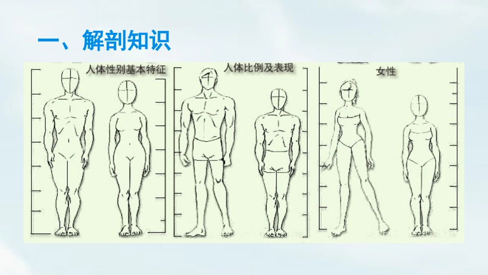 人物速写课件_第3页