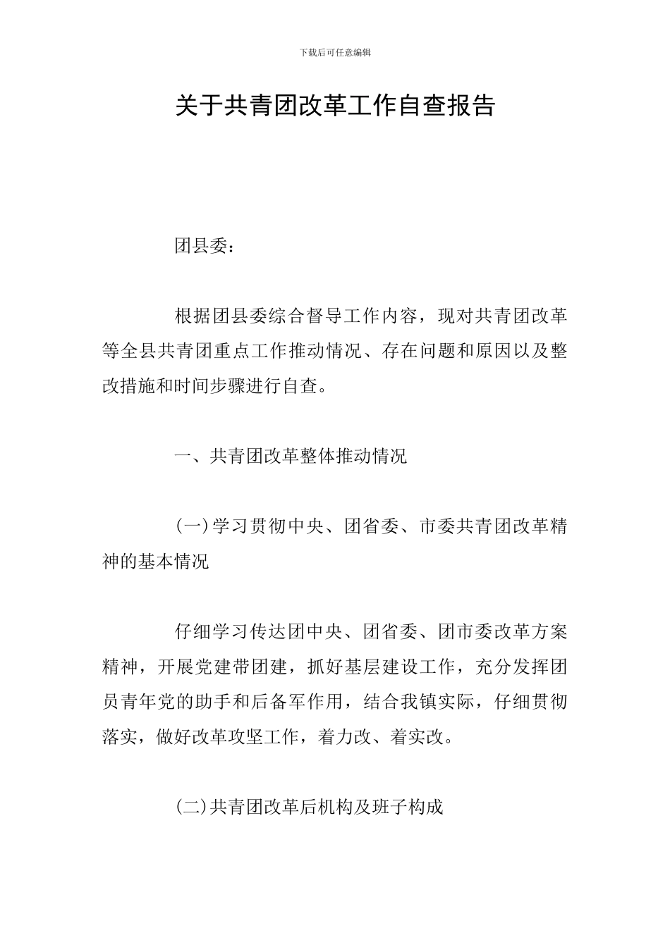 关于共青团改革工作自查报告_第1页