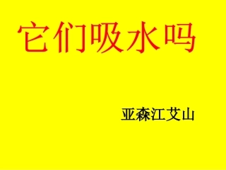 （教科版）三年级科学上册课件它们吸水吗3