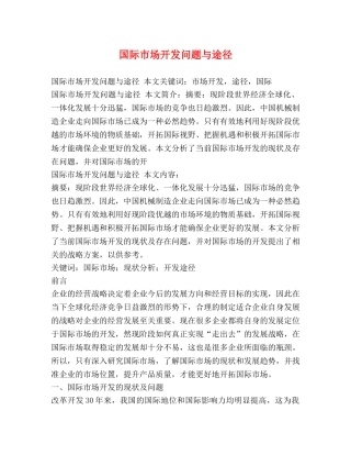 国际市场开发问题与途径 