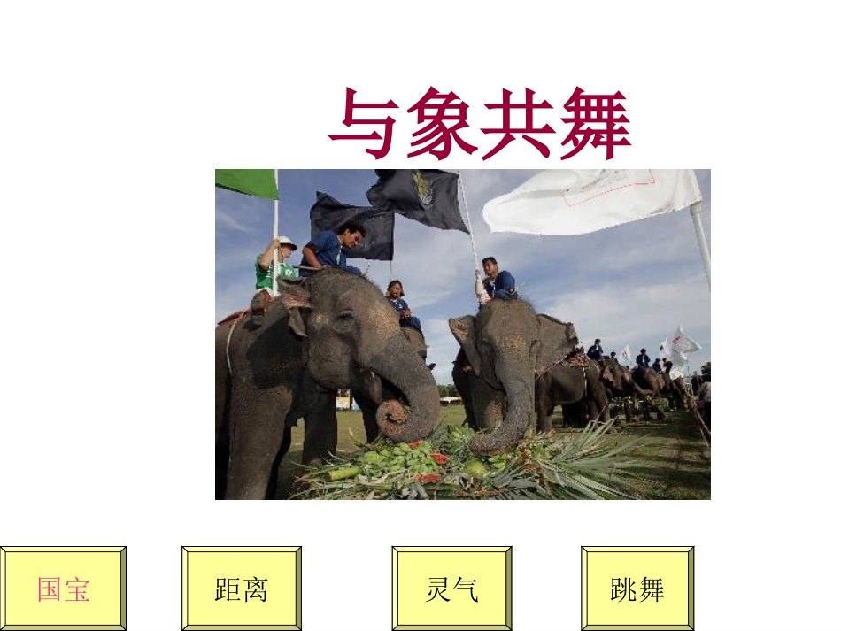 与象共舞 (2)_第1页