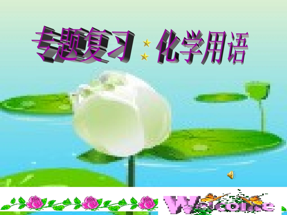 专题复习化学用语_第1页