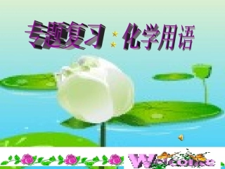 专题复习化学用语