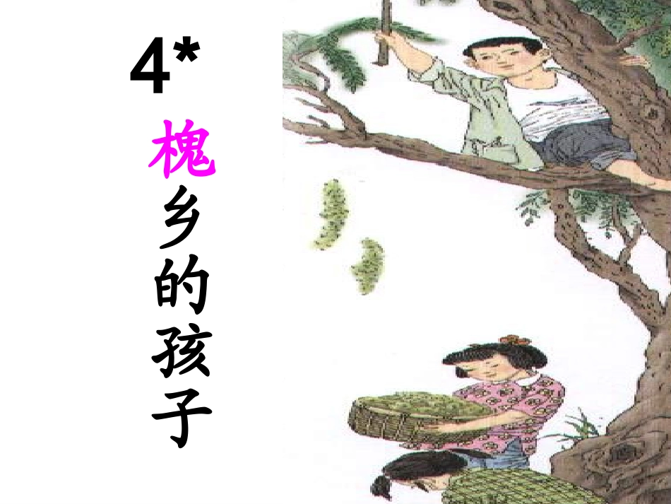 4、《槐乡的孩子》课件_第1页