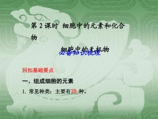 高一生物细胞中的元素和化合物1