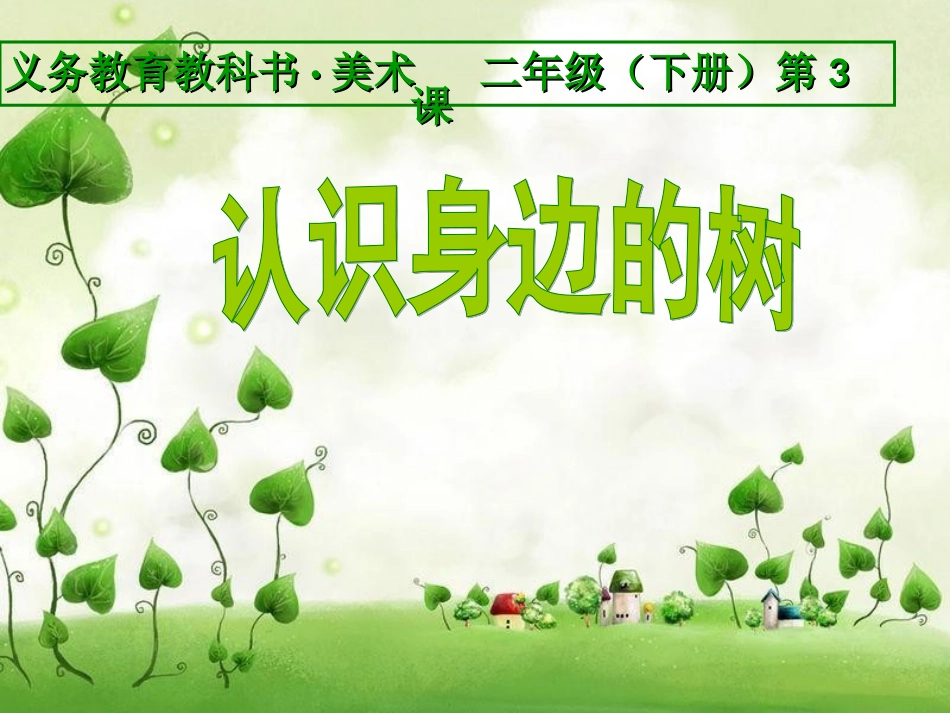 认识身边的树_第1页