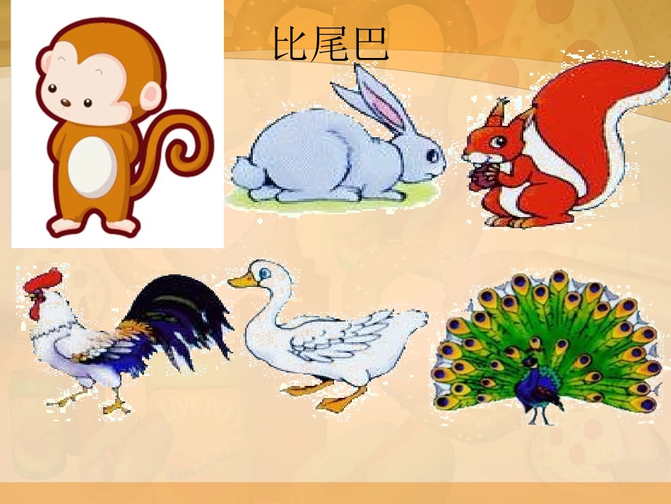 21《从现在开始》公开课_第2页